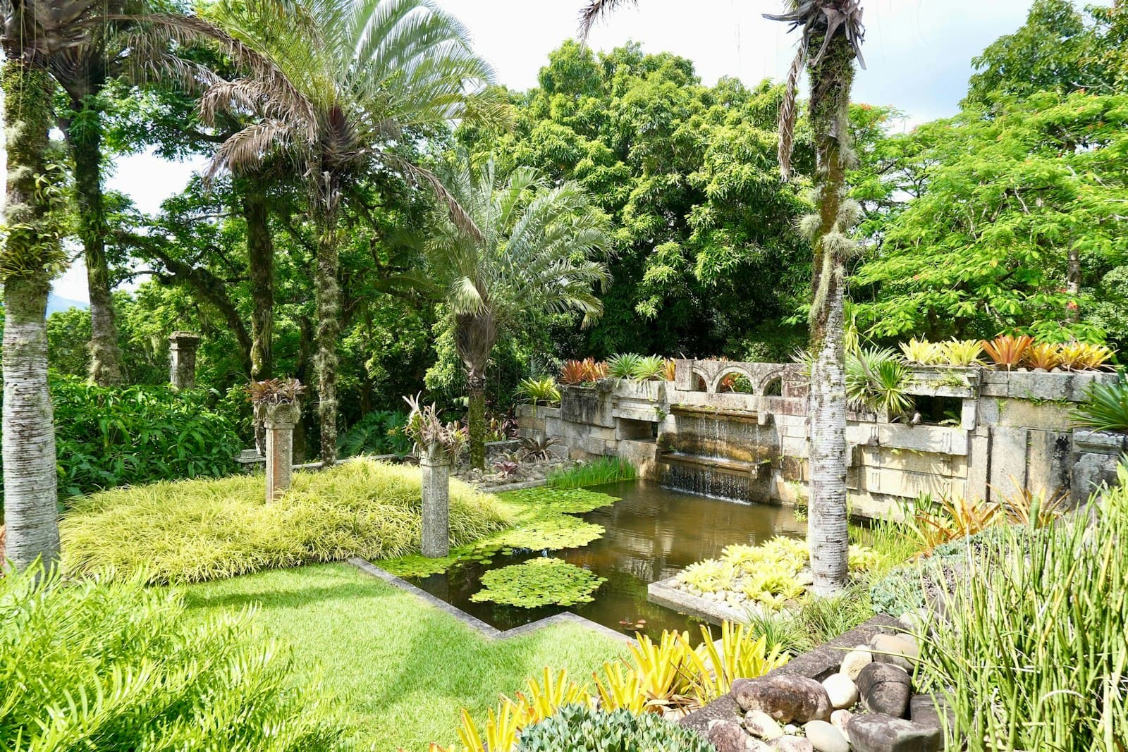 Lush tropical greenery of Rio's botanical garden